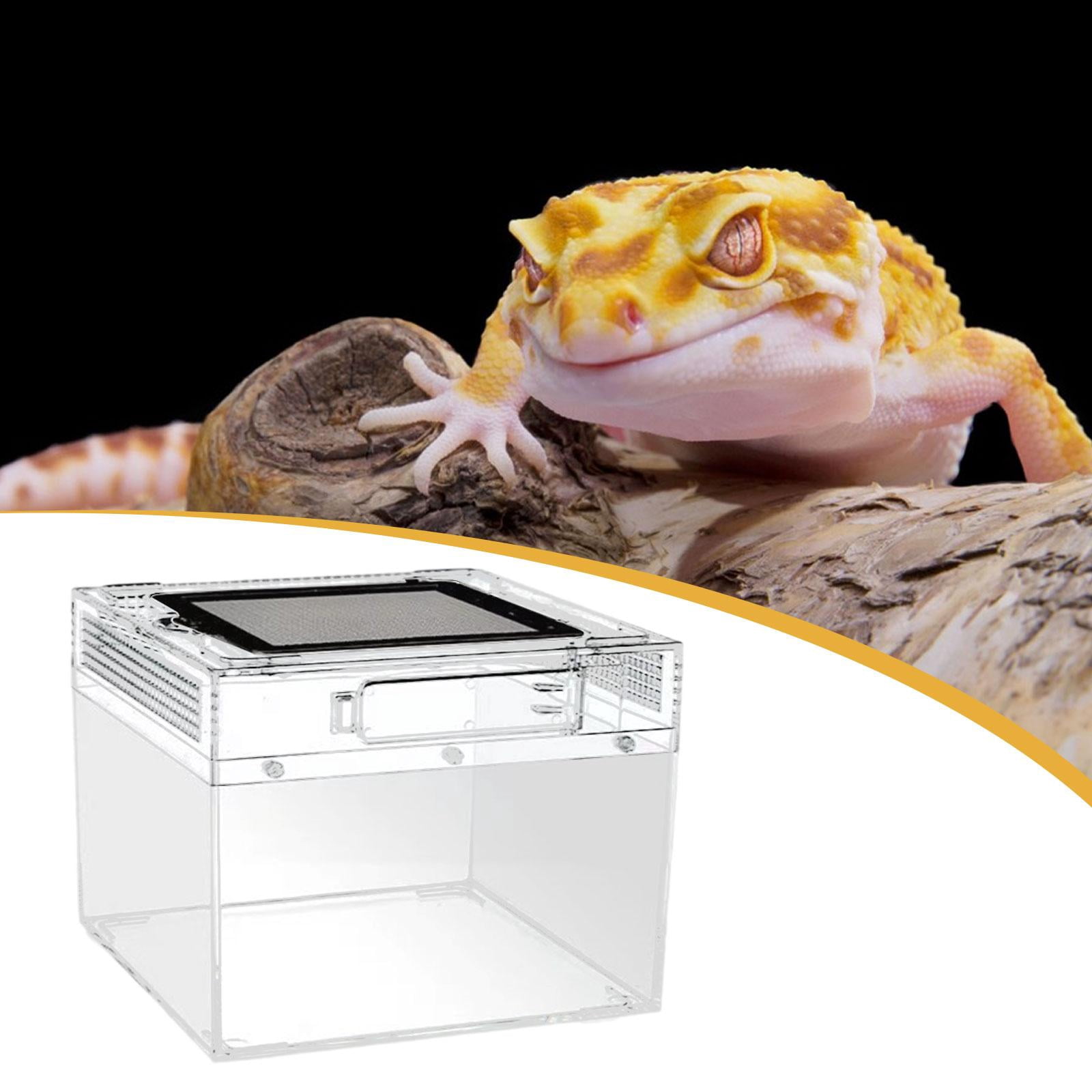CarpNettore Reptile Terrarium Reptile Tank Ventilation Transparent Breeding Box Habitat for Turtle Scorpions Lizards Horned Frogs Geckos 20cmx20cmx15cm