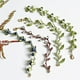 thumbnail image 5 of Xiao Hua Pulsera de metal con hojas de plantas, perlas de agua dulce, frutas y arándanos para mujeres y niñas, ideal como regalo de cumpleaños o fiesta (color del metal: 1), 5 of 5