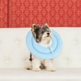 thumbnail image 2 of XINQIHANG Soft Dog Cone Alternative After Surgery, Comfortable Adjustable Dog Recovery Collars & Cones, Waterproof Elizabethan Donut Collar for Small Dogs to Stop Licking, 2 of 7