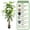Style 01, variant on ShadeMart 59" Artificial Dracaena Plant Outdoor Fake Plants for Home Decor Living Room Indoor- Faux Tall Floor Plants for Office - Artificial Brazil Iron Tree - Pot Style 01