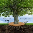 thumbnail image 4 of Tapis de Plante en Noix de Coco, 6 Pcs Disque de Paillage, Tapis de Protection Hivernale, 30cm, 4 of 4