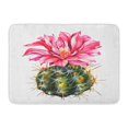 thumbnail image 1 of NUDECOR Green Flower Watercolor Cactus Raster for Projects on Clipping Path Orange Botanical Doormat Floor Rug Bath Mat 23.6x15.7 inch, 1 of 1