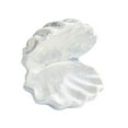 thumbnail image 4 of Plato de cerámica para joyería, soporte para joyas, regalo para mujer, cuenco para llaves con forma de concha, estuche para joyas Blanco, 4 of 9