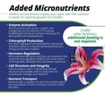 thumbnail image 3 of All Purpose 20-20-20 Water Soluble Plant Food (1.5lbs), 3 of 6