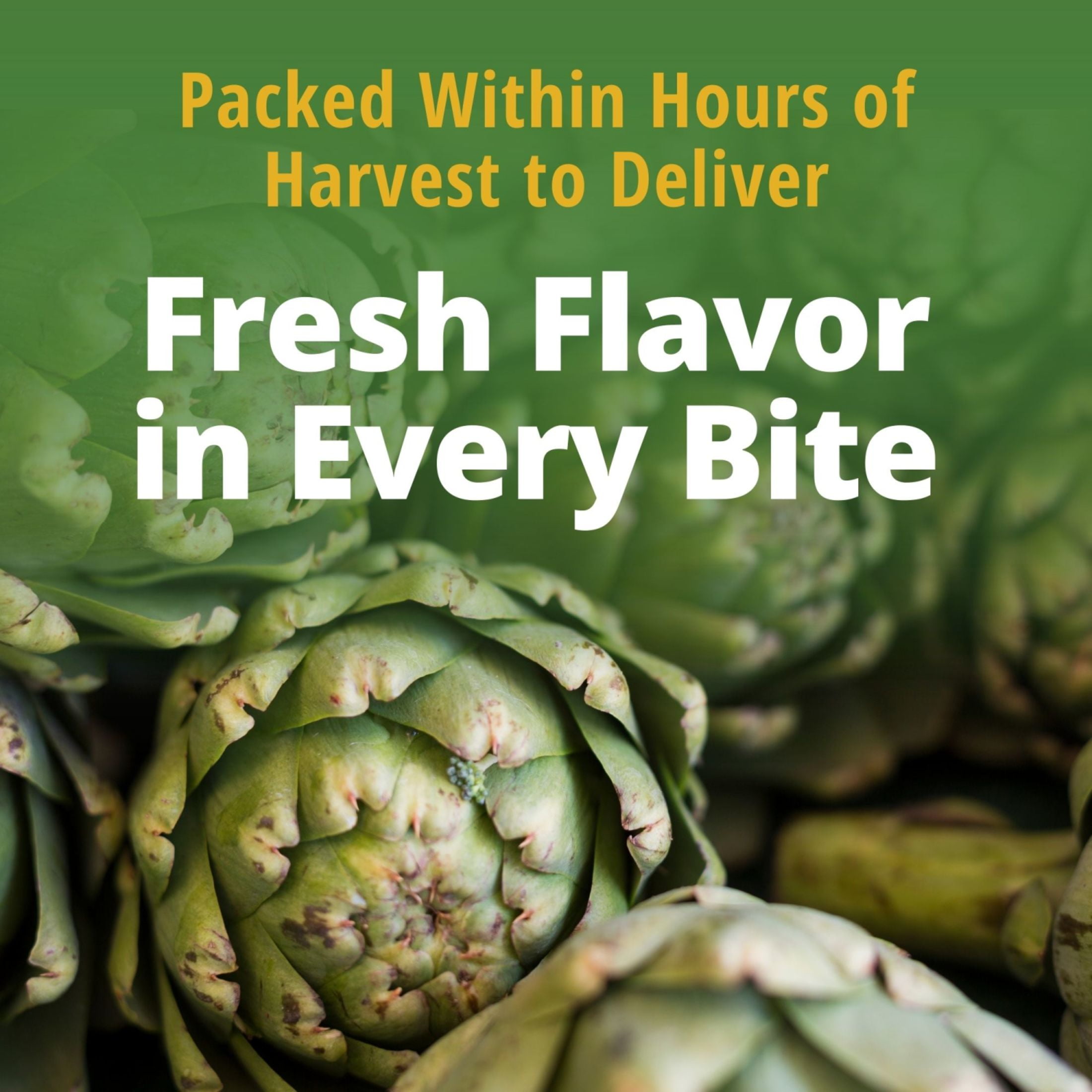 (12 pack) Del Monte Whole Artichoke Hearts, Canned Vegetables, 14 oz can