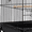 Black, variant on Alden Design 53.5" Metal Rolling Bird Cage with Play Top Stand, Light Gray