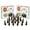 Copal, variant on Peppermint Incense Cones - Total 20 Cone Incense - Dual Pack of 10 Insence Cones - Incense Cones Scented - Cone Incense Scents - Insense Cones - Incent Cone