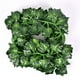 thumbnail image 1 of Planta de hojas de 80 hojas, tira pequeña, simulación de hojas de ratán, hojas verdes, enredadera de simulación, enredadera decorativa, hojas de enredadera, 1 of 4