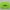 Green, variant on taicans Garden and Yard Leaf Scoops,Hand Rakes with Handles,Lightweight Plastic Leaf Scoop,Garden and Yard Leaf Scoops Hand Rakes,Large Sized Multi-use for Leaves,Lawn and Trash Pick-Up(Green)
