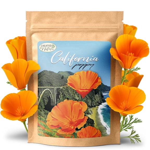 California Poppy Flower Seeds, 20,000 Native Wildflower Seeds, California State Flower - Created By Nature