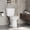 W2185+T2285 Standard White, variant on Elongated Two-Piece ADA Commercial Toilet – Comfort Height 17.5", 1.28 GPF Water Efficient Siphon Flush, cUPC Certified, Soft-Close Locking Seat, 12" Rough-In, White – Variant: Elongate PHO_3d