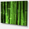 thumbnail image 1 of Designart - Green Bamboo Forest - Large Floral Canvas Art Print, 1 of 2