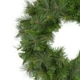 thumbnail image 3 of Northlight 24" Unlit Mixed Canyon Pine Artificial Christmas Wreath, 3 of 5