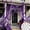 Purple, variant on Halloween Spider Web Decorations with 20 Fake Spiders, Stretchy Cotton Cobwebs for Indoor Outdoor Haunted House Party, Yard Porch Garden Scene Props