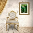 thumbnail image 3 of Miller, Anna 19x24 Gold Ornate Wood Framed with Double Matting Museum Art Print Titled - Florida- Woodpecker among Banana Leaves, 3 of 4