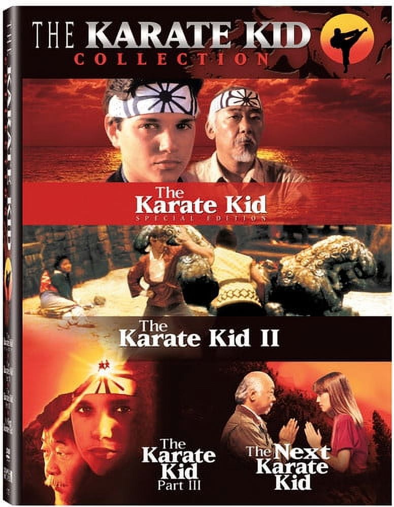 The Karate Kid Part III (DVD) - Walmart.com