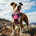 thumbnail image 3 of HAHDAXIA Neoprene Padded Dog Collar for Extra Large Dogs, 11 Colors, Reflective Wide Pet Collars with Durable Metal Belt Buckle, Adjustable Heavy Duty Nylon Dog Collar, Hotpink, 3 of 6