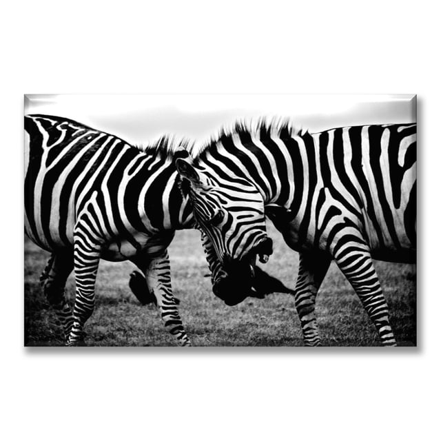Cuadro Canva Listo Para Colgar Tipo Galería Zebras 60X90 cm