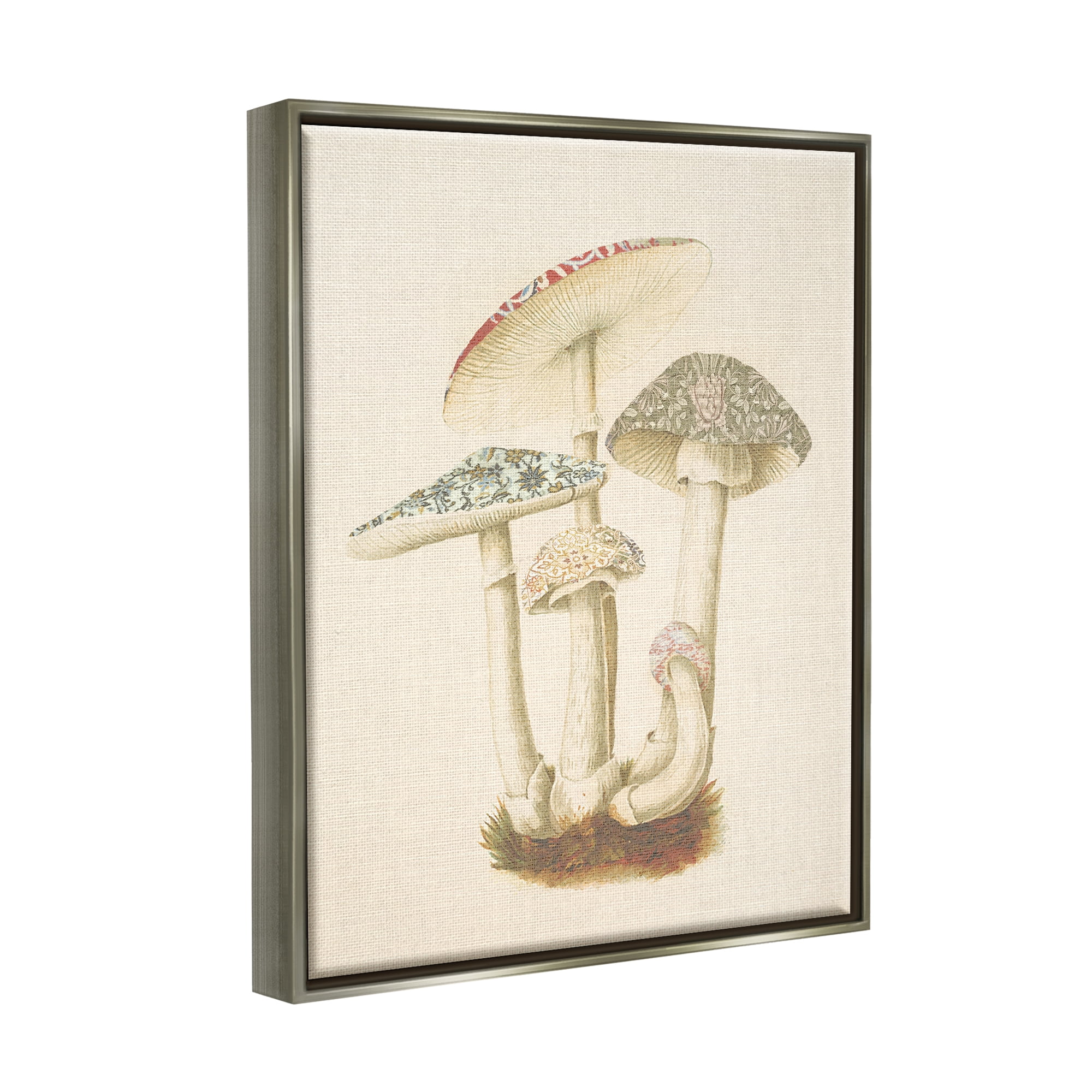 Stupell Industries Vintage Mushroom Study Botanical & Floral Painting Gray Floater Framed Canvas Art Print Wall Art, 17 x 21