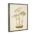 thumbnail image 4 of Stupell Industries Vintage Mushroom Study Botanical & Floral Painting Gray Floater Framed Canvas Art Print Wall Art, 17 x 21, 4 of 10