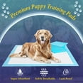 thumbnail image 3 of Puppy Pads TBM, 100 unidades, 60 x 60 cm, superabsorbentes para perros, 3 of 9