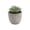 A, variant on Small Fake Plants Realistic Lifelike Artificial Potted Succulents, Mini Durable Plastic 2.7x2.6x2.6 in with Pot Faux Plants for Home Office, Kitchen, and Indoor Table Decor