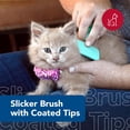 thumbnail image 2 of Kit Peine Desenredante para Gatitos Coastal Li'l Pals de 12.5 cm, 2 of 7