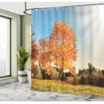 thumbnail image 5 of Ambesonne Nature Shower Curtain, Maple Tree in Autumn, 69"Wx84"L, Orange Blue, 5 of 5