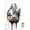 Premium Poster & Push Pin Bundle, variant on Star Wars: Saga - Falcon Black And Orange Wall Poster, 22.375" x 34", Framed