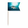 Marine Organism Tropical Sea Fish Toothpick Flags Labeling Marking for Party Cake Food Cheeseplate
