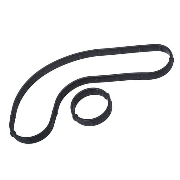 Engine Oil Cooler Gaskets