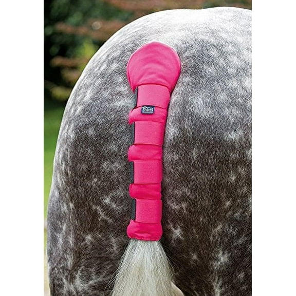 Shires Arma Padded Tail Guard Baby Blue One Size