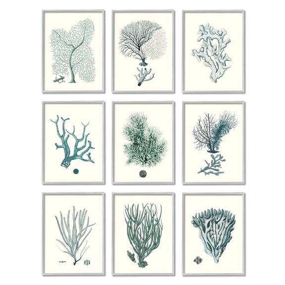 Stupell Industries Deep Sea Coral Arrangement Blue Ocean Plant Life Framed Wall Art, 11 x 14, Design by Johann Esper