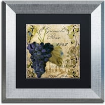 Trademark Fine Art "Vino Italiano III" Canvas Art by Color Bakery Black Matte, Silver Frame
