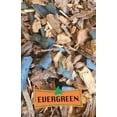 thumbnail image 5 of Evergreen Orchids Mix Soil Potting Mix 5qts., 5 of 7