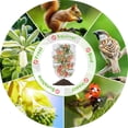 thumbnail image 3 of Nvzi Paquete de 2 bolsas de protección de frutas con cordón, red de protección para tomates, bolsas de red de barrera para plantas de jardín para verduras, frutas y flores (3,28 x 3,28 pies), 3 of 5