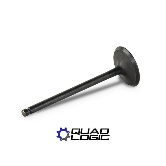 Polaris (2014-2021) Sportsman Scrambler 1000 Engine INTAKE Valve 3022203
