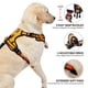 thumbnail image 4 of Arnés para perros NESTROAD, chaleco Oxford ajustable sin tirones, XL, 4 of 8