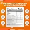 thumbnail image 4 of SaltWrap Protein Clinic - All-In-One Muscle Building Protein Shake with HMB and Collagen - Vanilla Cream, 4 of 6