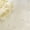 Beige, variant on Inosoo Pearl Gauze Table Runner 30x120 inch, 10FT Sheer Tulle Table Decor with Shatterproof Pearls for Wedding Party Dining, White