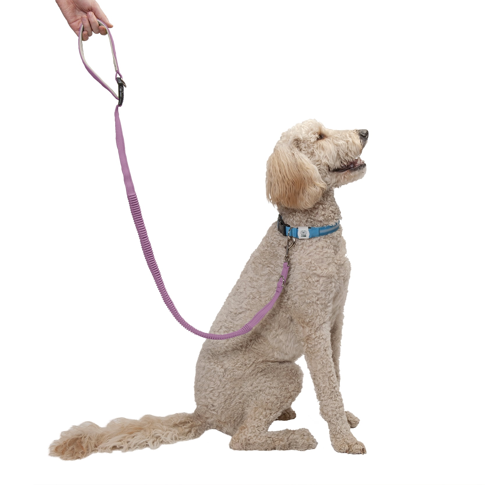 easy latch dog leash