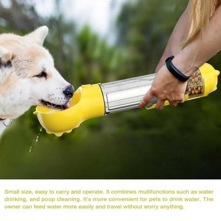 Dog drinks blue toilet water 2025