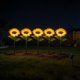 thumbnail image 4 of Luz Solar Exterior de Girasol, Paquete de 5, Decoración de Jardín LED Impermeable con Encendido/Apagado Automático para Patio, Pasillo, Boda, Fiesta, Blanco Cálido, 4 of 8