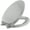 Ice Gray, variant on Kohler K-4713-Rl French Curve Elongated Closed-Front Toilet Seat - Sandbar
