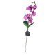 thumbnail image 1 of Luz de lámpara de césped,Lámpara de luz resistente al agua,Lámpara de flores artificiales,Luz de jardín ,Luz de lámpara con energía solar,Lámpara Pin kusrkot Luz de lámpara de césped, 1 of 8