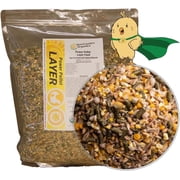New Country Organics I Power Pellet Layer Feed 10 lbs I Layer Feed for Laying Hens I Soy-Free I 17% Protein I Certified Organic and Non-GMO I 10 lbs