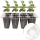 thumbnail image 4 of 10x caja de germinación de plantas de vivero de jardín Kit de bandeja de inicio de semillas de plantación Ndcxsfigh Para estrenar, 4 of 9