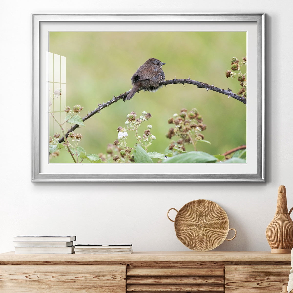 Resting Sparrow Premium Framed Print - Ready to Hang