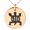 Rose, variant on Stainless Steel Aztec Adaptability Rune Engraved Small Medallion Circle Charm Pendant Necklace
