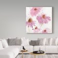 thumbnail image 3 of Trademark Fine Art 'Purple Coneflower Garden' Canvas Art by Sheila Golden, 3 of 3